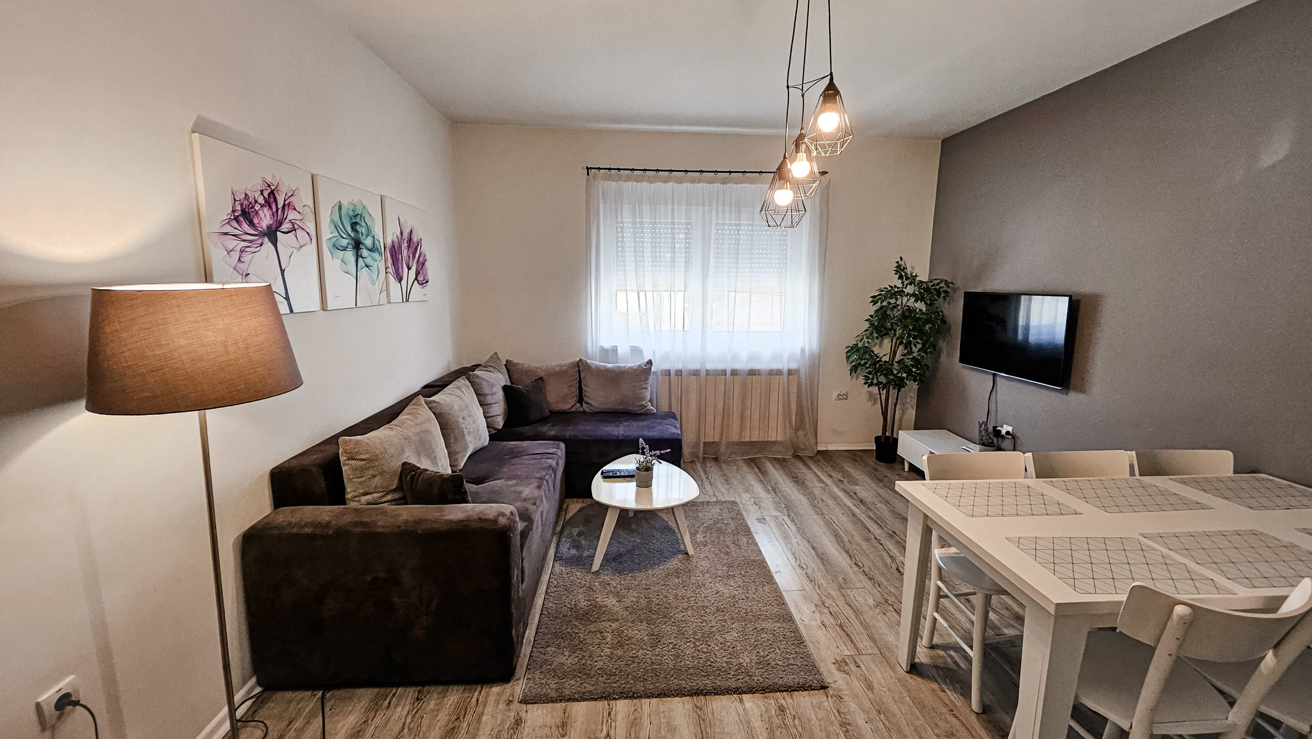 Home 20240219 095016